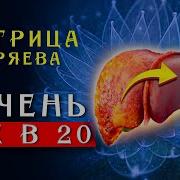 Матрица Гаряева Очищение Печени