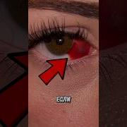 Песня Деньги Зеленый Это Всë Что Нужно Мне Скачать