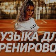 Длинные Треки Для Занятия Спортом