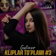 Гулинур Кушиклари Туплами