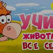 Учим Животных И Их Звуки Развивающий Мультфильм