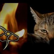 Мурлыкание Кота Возле Камина