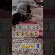 Думы Думать Прикол