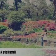 Уммон Юрак Йиглайди Ажойиб Кушик