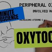 Oxytocin