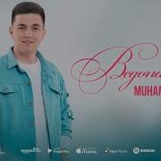 Muhammadziyo Begonalardek Mew Mp3