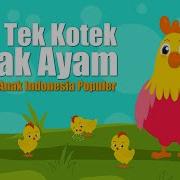 Anak Ayam