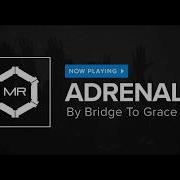 Bridge To Grace Adrenaline