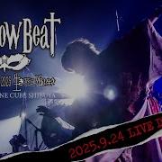 The Brow Beat