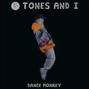 Kiwi Music Dance Monkey Tones And I Cover