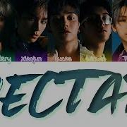 Nectar Ncts