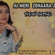 Peruzai Tohir New Song 2024 Ai Meri Zohaara Zabi