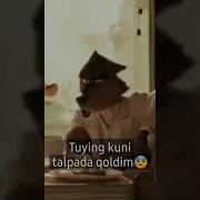 Tuying Kuni Talpada Qoldim