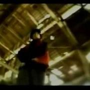 샤키 유혹