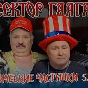 Сектор Гаага