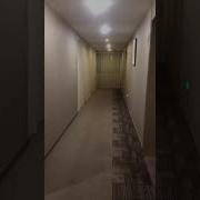 酒店走廊录音