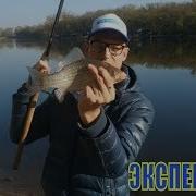 Одеколон Звездочка Что Лучше Ловлю Карася На Резкий Запах