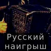 Страдание На Гармошке