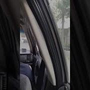 Мен Улсам Бу Кушикни Ким Айтади
