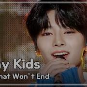 Stray Kıds Story That Won T End