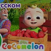 Дети На Ферма Сборник Cocomelon