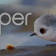Pipper