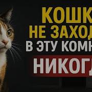 Если Группа Знаки
