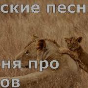 Детская Песня Про Львов