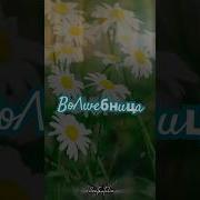 Песня Волшебница