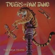Tygers Of Pan Tang Wild Cat