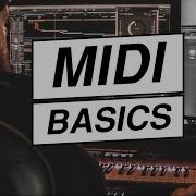 Midi