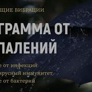 Программа От Воспалений