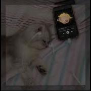 Jack Stauber Ballad Of Hamantha Speed Up
