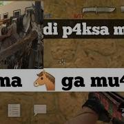 Main Sama Hewan