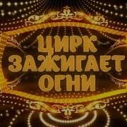 Цирк Балаган Кировском Цирке