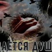 Мается Душа Гр Лайф