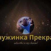 Лошади Под Музыку