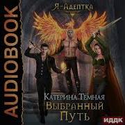 Тёмный Маг Книга 4 Выбор Пути