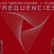 Frequencies Blalck Tiger Sex