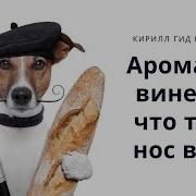 Ну Вот И Всё Вином Пропахла