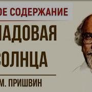 Пришвин Кладовая Солнца Краткое Содержание