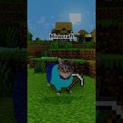 Oiia Cat X You And I Noob Viral