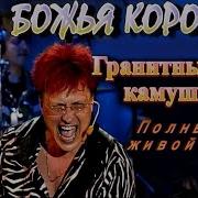 Раненая Птица Лети Небеса Всего Дороже