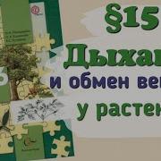 Биология 6 Класс Пономарева 15 Параграф