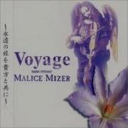 No Pains No Gains N Type Malice Mizer