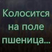 Колосится На Поле Пшеница Песня На Жатву