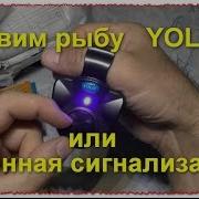 Звук Поклевки