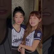奶酪小迪佳