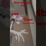 Мозг Выбирает Мне Сны