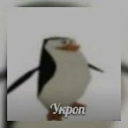 Скам Ты Знаешь Эти 4 Буквы Мэн Спид Ап